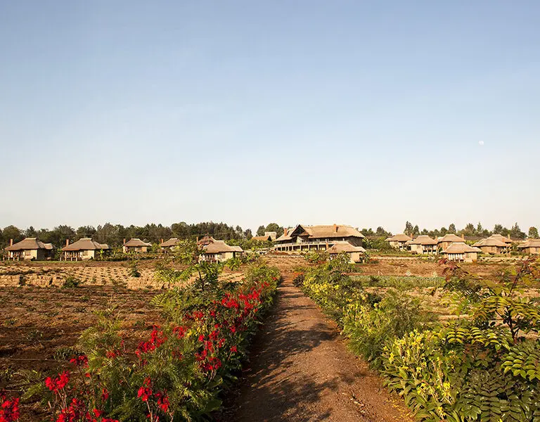 Kitela Lodge, Ngorongoro Conservation Area, Karatu.