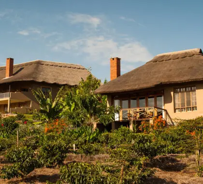 kitela-lodge-tanzania-ngorongoro-conservation-area-banner