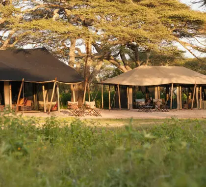 nyasi-tented-camp_2-banner-3