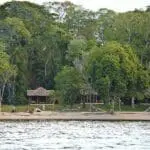 Rubondo Island Camp overlooks the vast waters of Lake Victoria.