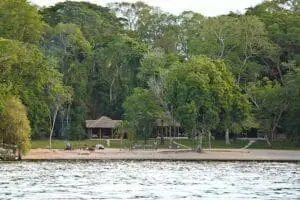Rubondo Island Camp overlooks the vast waters of Lake Victoria.