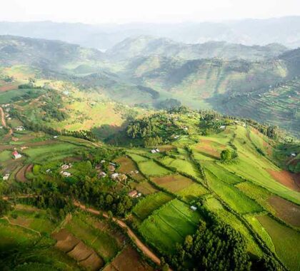Aerial view of the rolling hills of Uganda.
