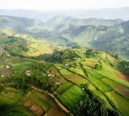 Vista aérea de las onduladas colinas de Uganda.