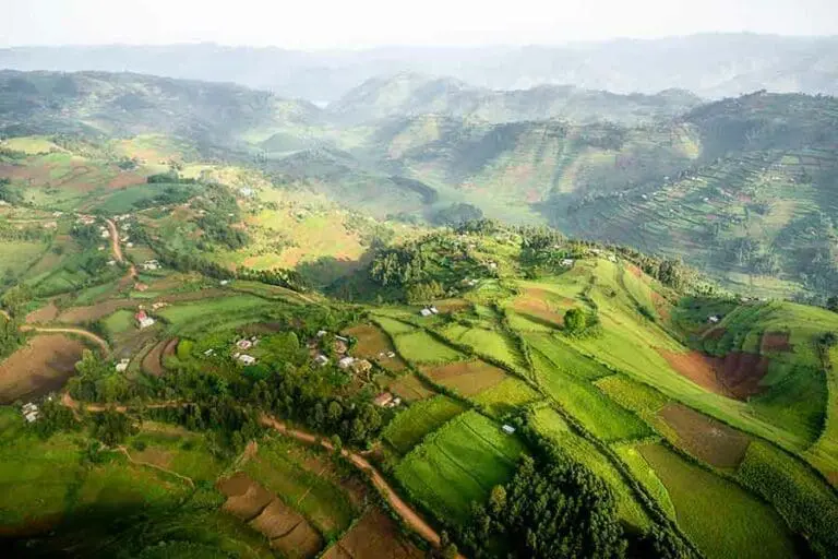 Vista aérea de las onduladas colinas de Uganda.
