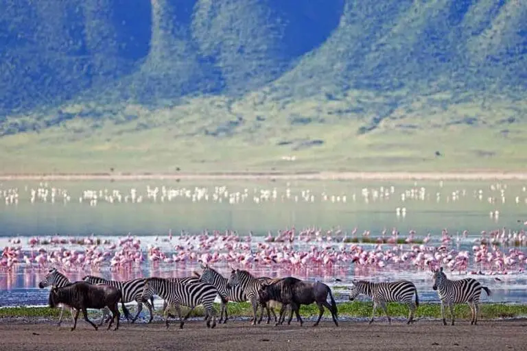 Vistas del safari en el cráter.