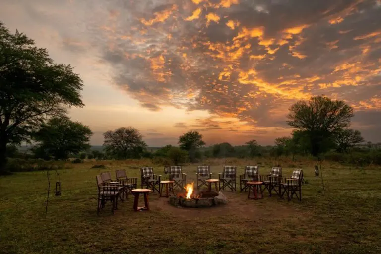 Sayari camp fire set up ready for the evening stories of the days sightings.