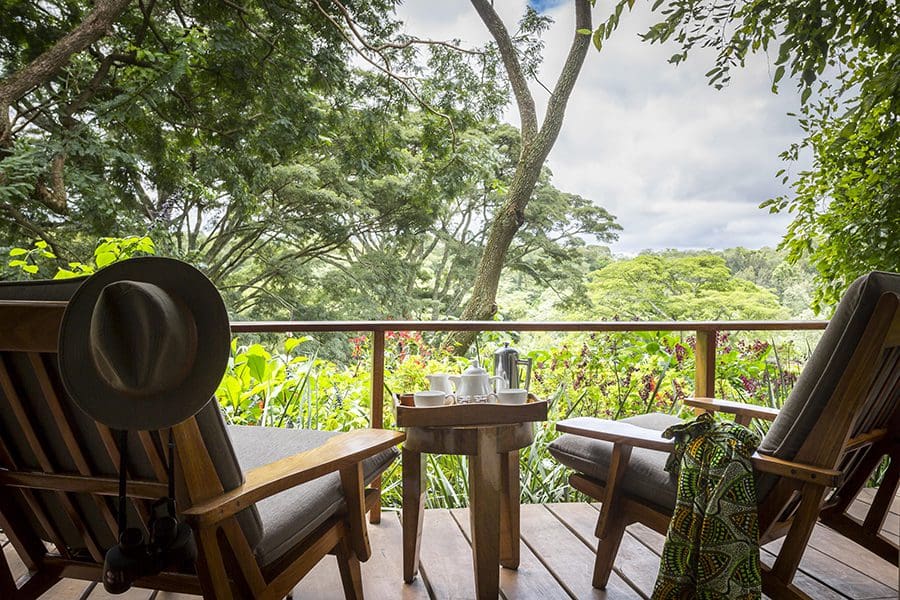 views-from-the-verandah