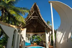 Featuring an outside lounge area with a private plunge pool. 