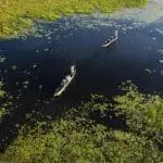 Paseo en mokoro por el Delta.