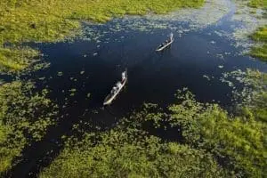Paseo en mokoro por el Delta.