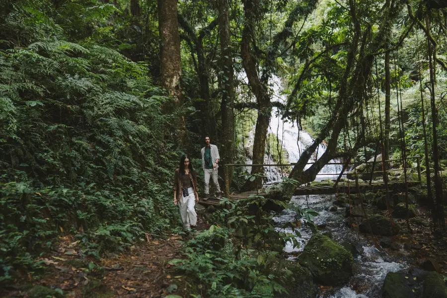 A couple walk through a forest in Uganda next to a stream | Go2Africa