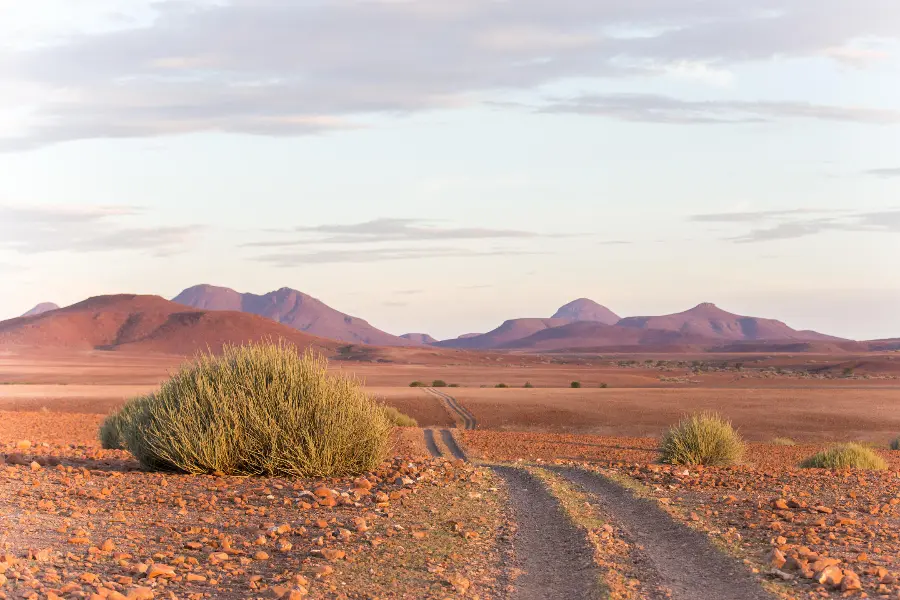 A view across Damaraland at first light | Go2Africa