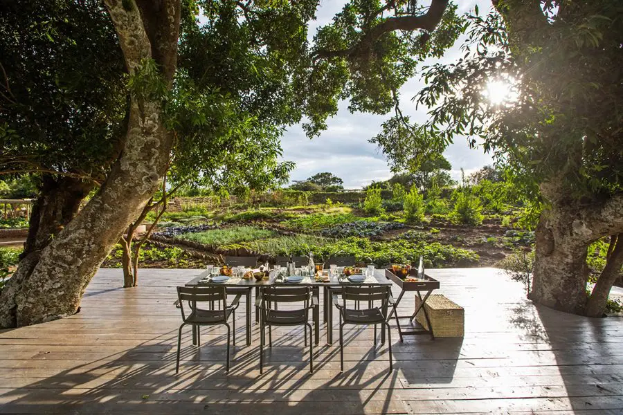 Shamba lunch at Angama Mara, Kenya | Go2Africa