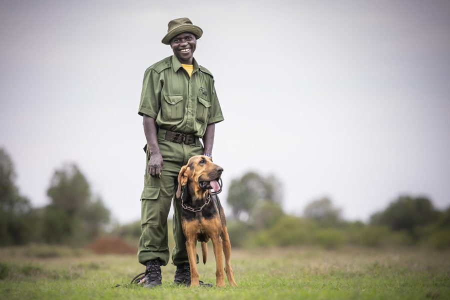 Bloodhound and tracker at Governors' Mugie House | Kenya