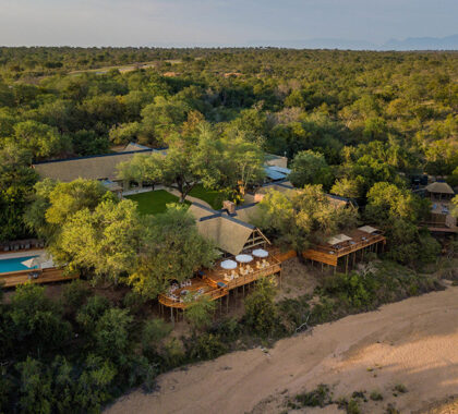 Immerse yourself in nature during your stay at Thornybush Game Lodge.