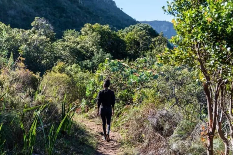 Hiking.