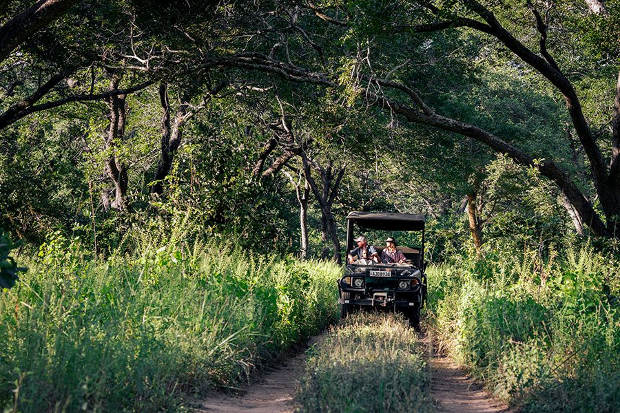 Game drives.