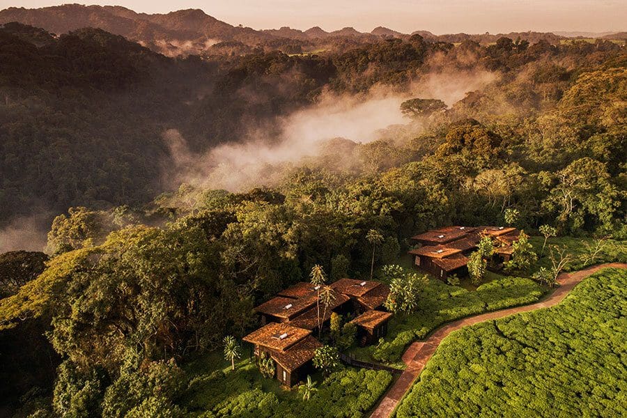 Paisaje de One&Only Nyungwe House, Ruanda | Go2Africa