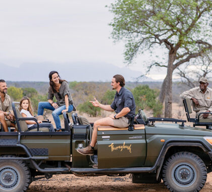 Get first-hand insight and fascinating stories from your guide | Thornybush Safari Lodge