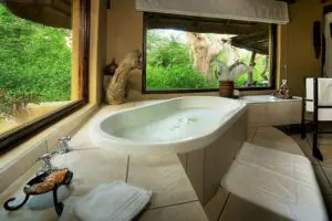 Bath with a view.