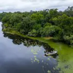 Fishing on the Okavango Delta river.