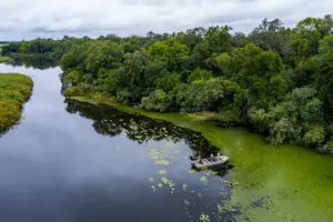 Fishing on the Okavango Delta river.