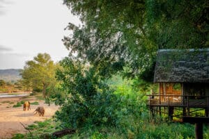 Las tiendas del Pafuri Tented Camp dan a un río estacional, ideal para avistar animales. 