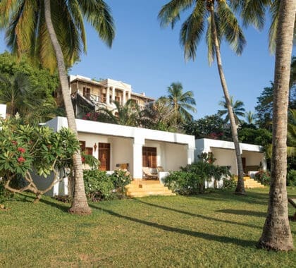 Habitaciones con salida al césped del jardín de palmeras.