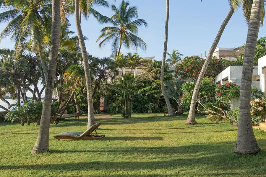 peponi-hotel-lamu-island-kenya-the-lawns-palm-garden