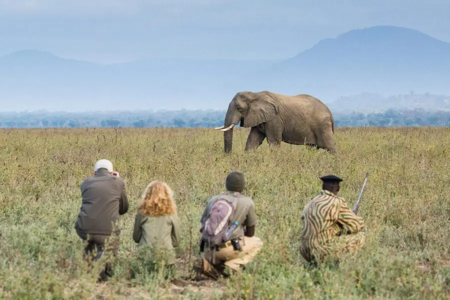 walking safari at Old Mondoro Camp, Zambia | Go2Africa