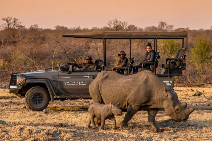 Rhino encounters on a game drive at Sanctuary & Stanley Boutique Hotel | Go2Africa