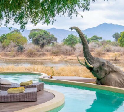 15 Luxury Lodges Perfect for Multi-Generational Family Safaris
