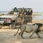 Private game drive vehicles at Chiawa Camp.