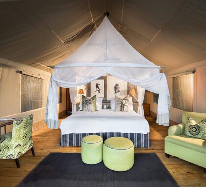 pafuri_004_camp_luxury_tent1