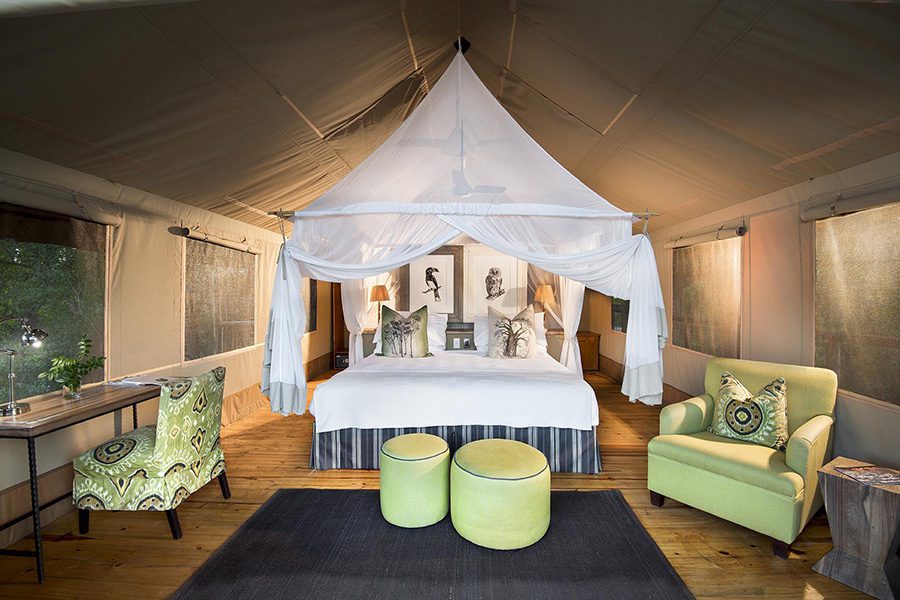 pafuri_004_camp_luxury_tent1