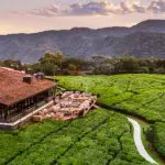 The One & Only Nyungwe House club house.