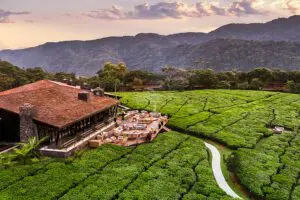 The One & Only Nyungwe House club house.