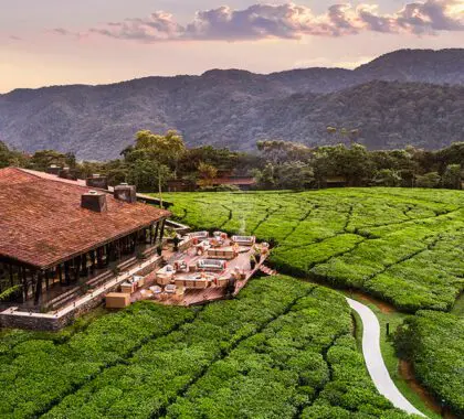 Casa club The One & Only Nyungwe House.