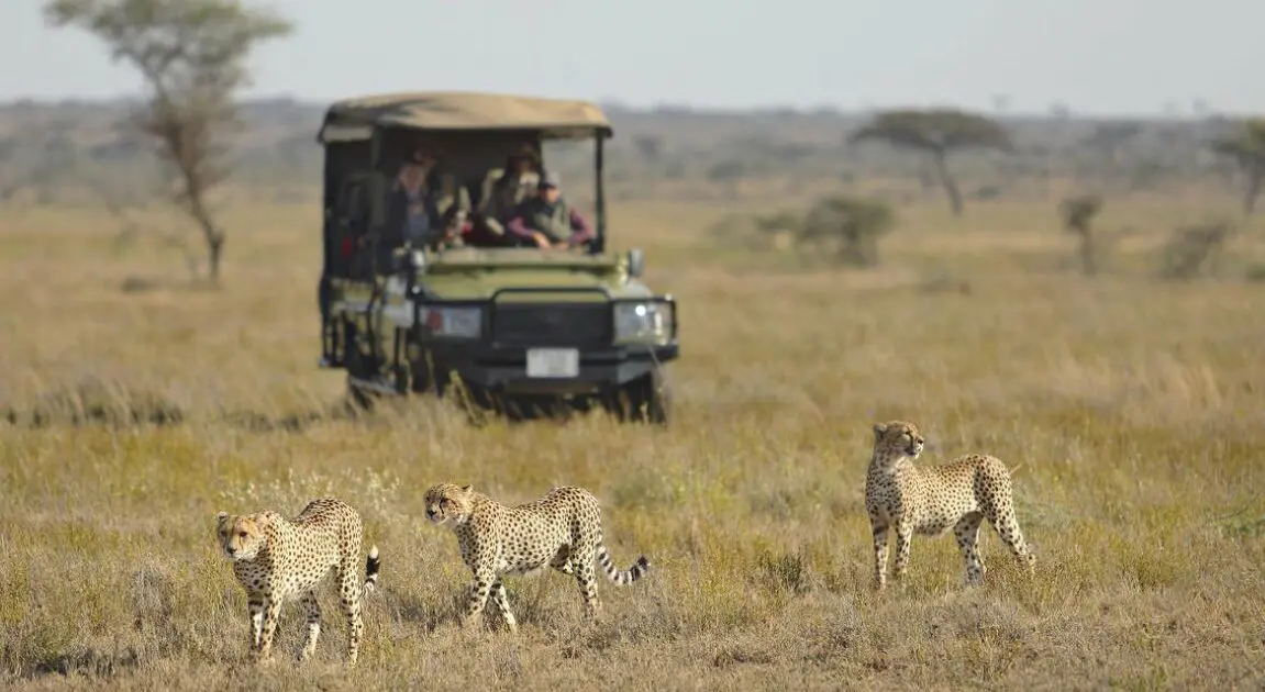 Llanuras de Namiri, Tanzania | Go2Africa