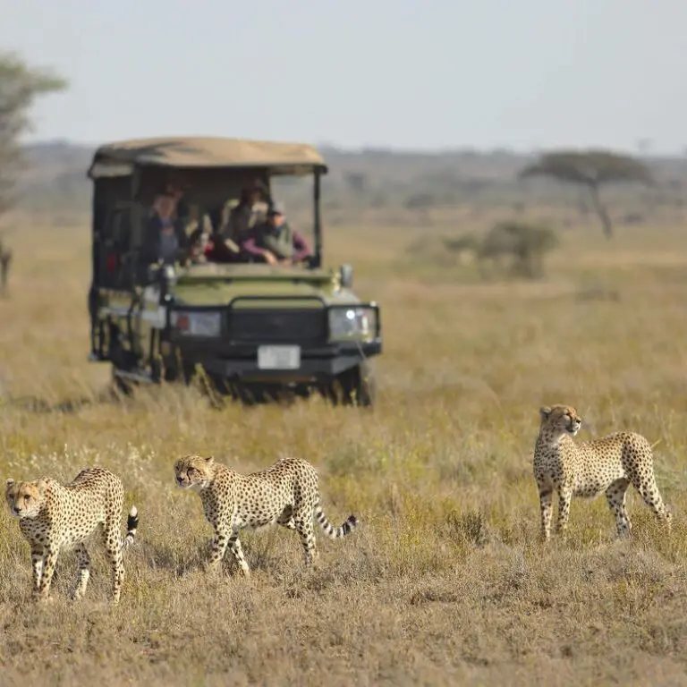Exploring the Namiri Plains.