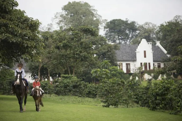 The Manor at Ngorongoro, Tanzania | Go2Africa