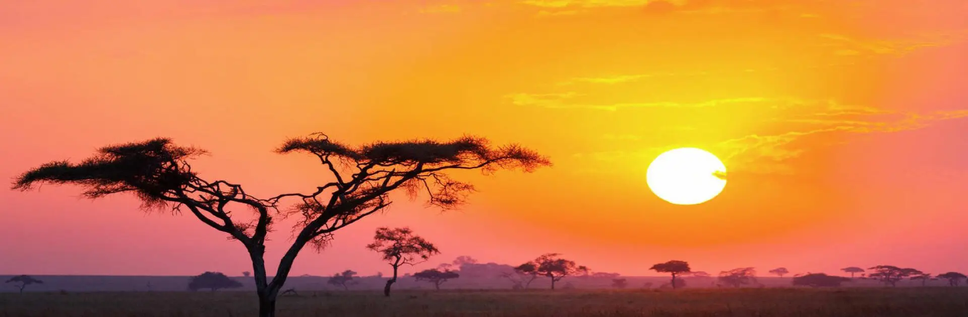 Serengeti, Grumeti Tanzania | Go2Africa