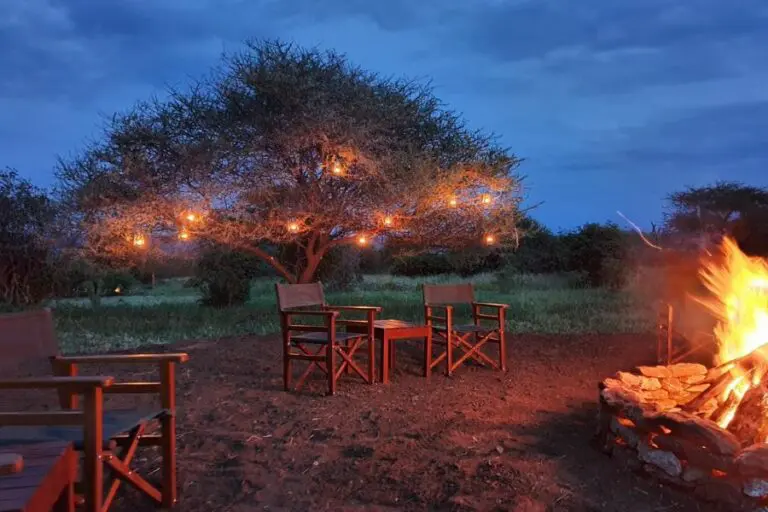 Tarangire Treetops Lodge, Tanzania | Go2Africa