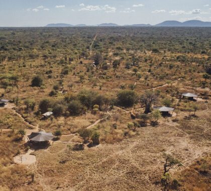 Asilia's Usangu Camp, Ruaha National Park, Tanzania, July 2022. Photo by Greg Funnell.