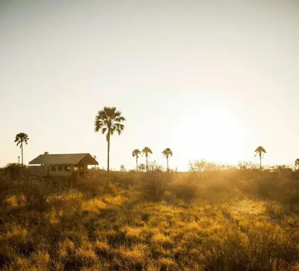 Camp-Kalahari-Tent