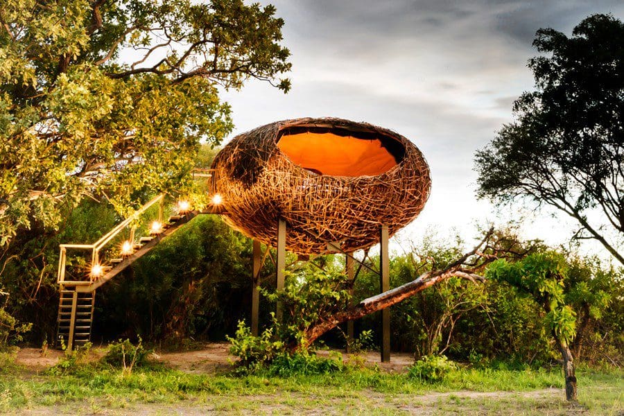 Campamento Chisa Busanga en el Parque Nacional de Kafue, Zambia | Go2Africa