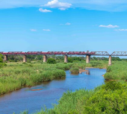 Kruger-Shalati-The-Train-on-the-Bridge