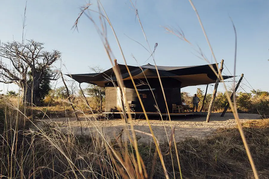 Campamento Usangu de Asilia, Parque Nacional de Ruaha, Tanzania, julio de 2022. Fotografía de Greg Funnell.