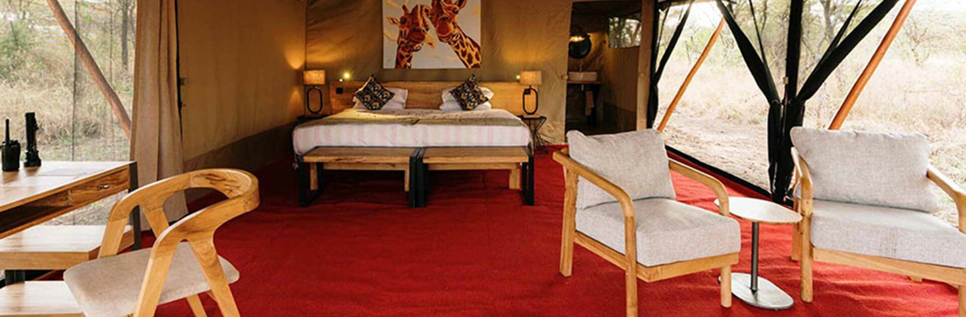 banner-kirimu-camp-05