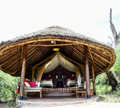 elewana_tortilis_camp_amboseli_accommodation_safari_tent